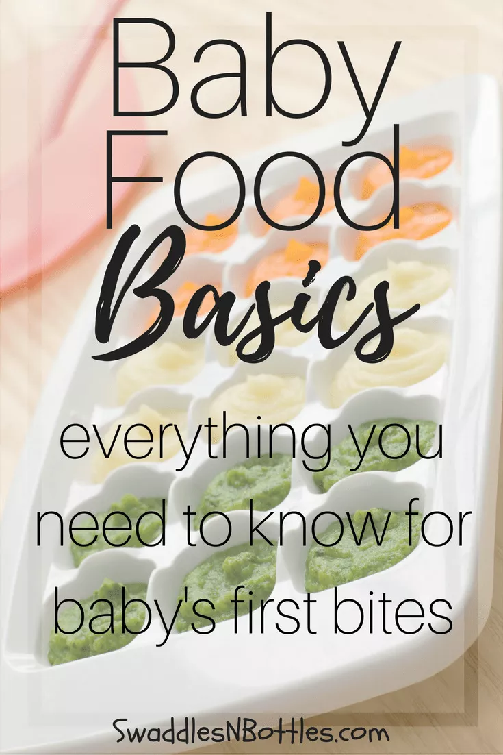 Baby Food Basics from Swaddles n' Bottles