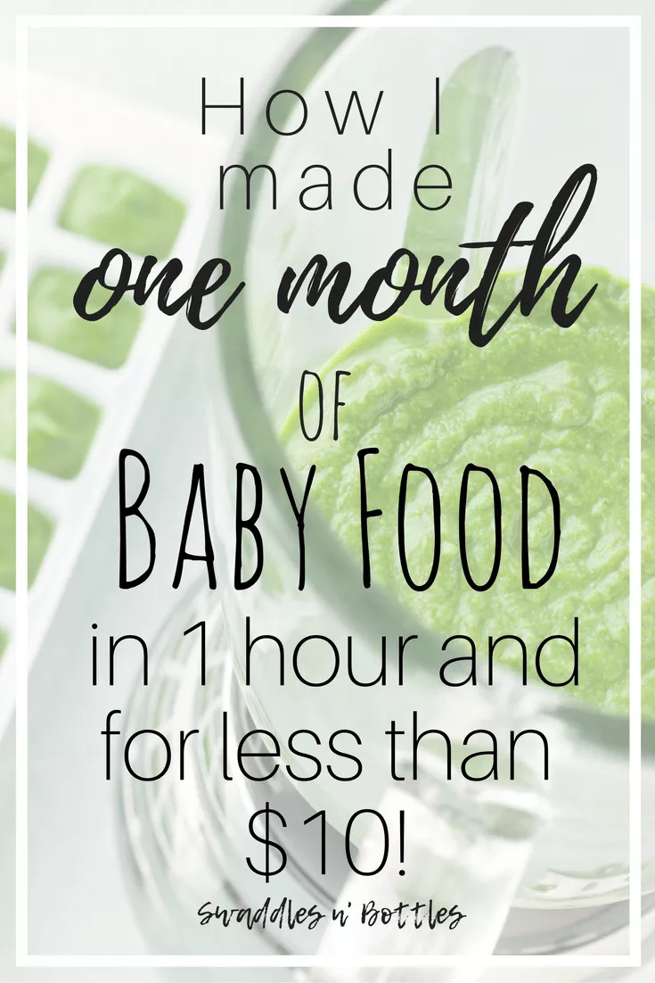 One Months Supply Baby Food- 1 Hour and less than !