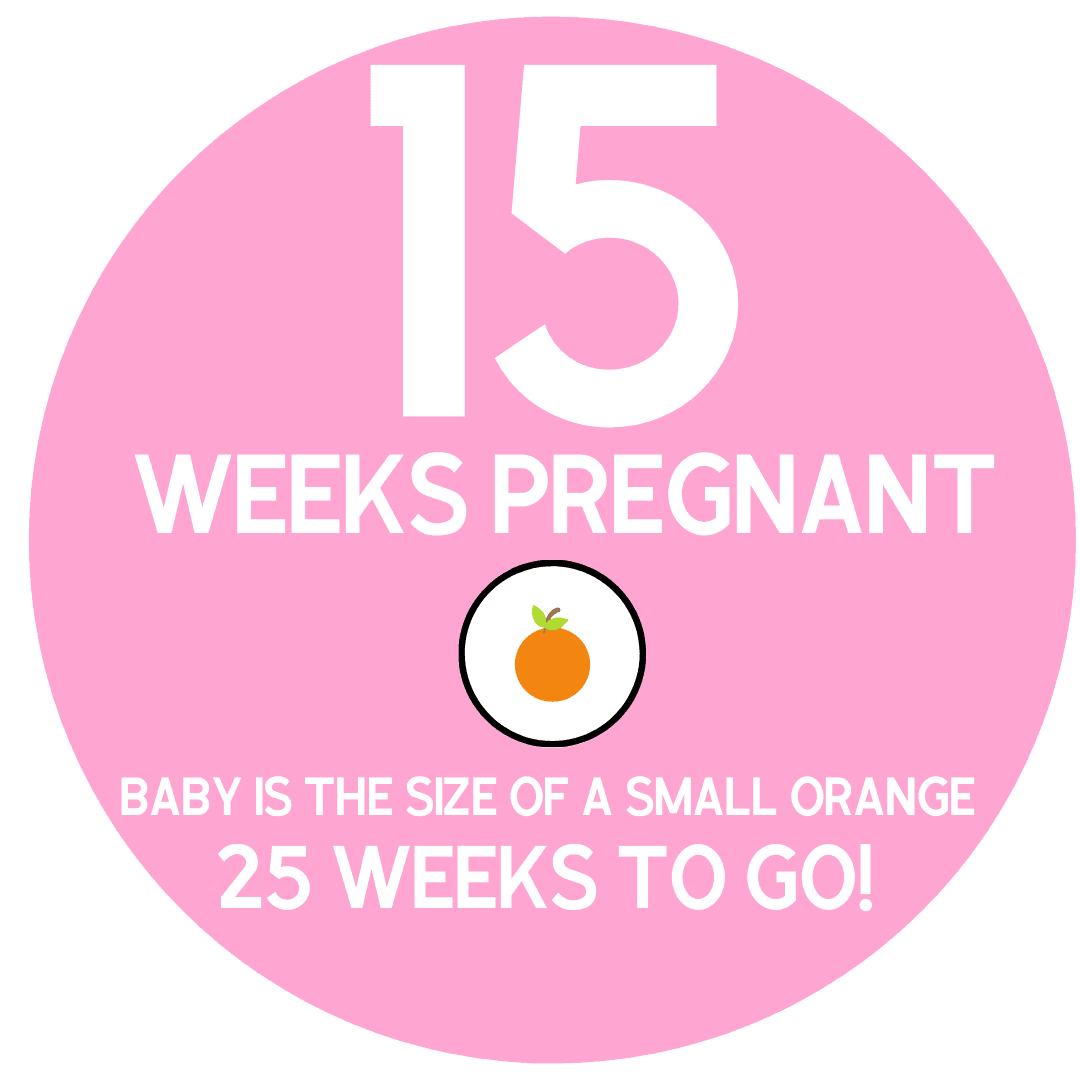 15 weeks pregnant- symptoms and baby size