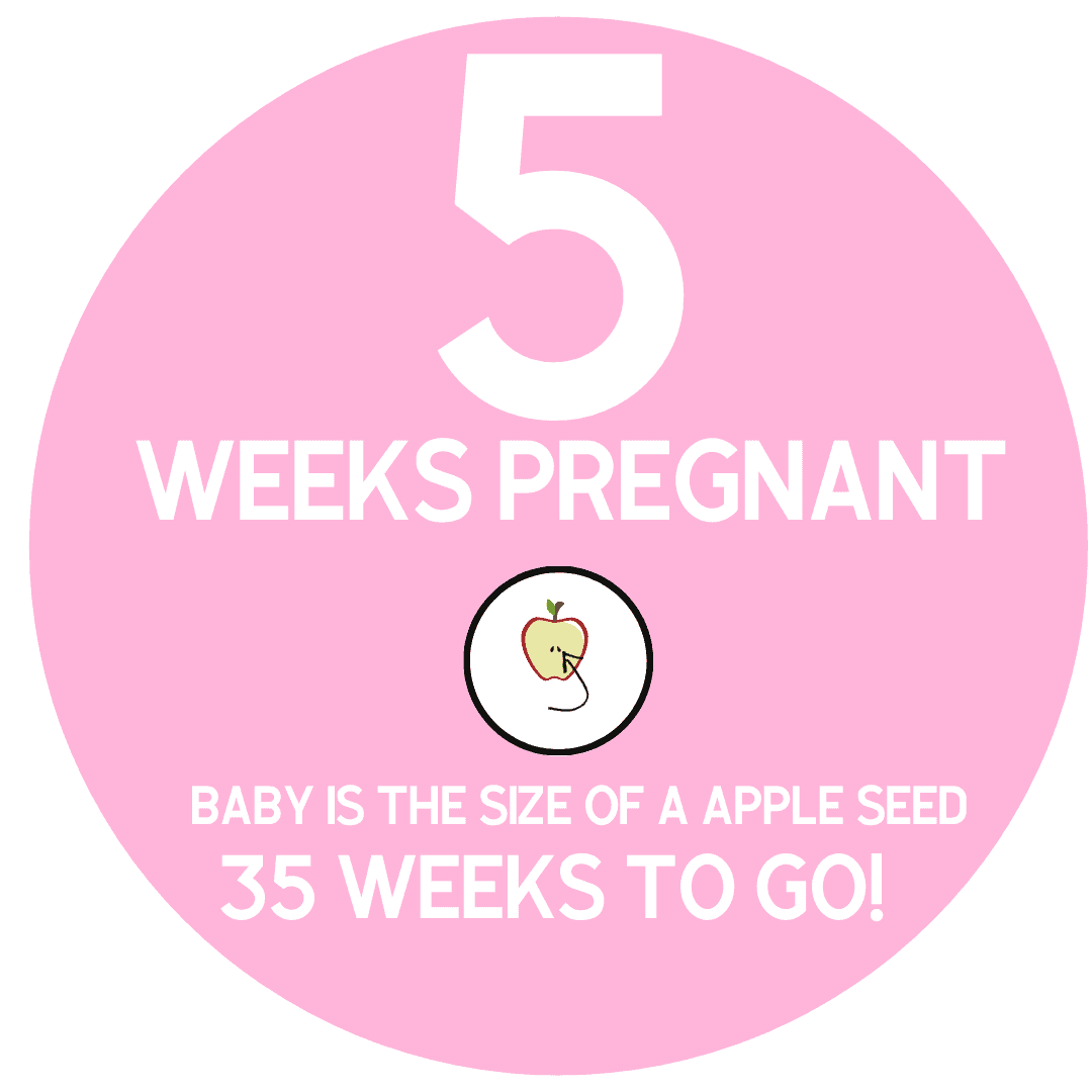 symptoms at 5 weeks pregnant