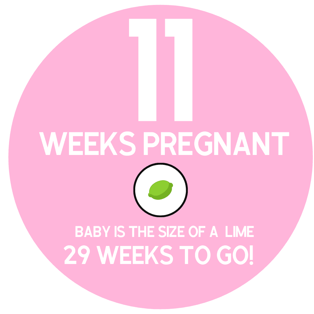 pregnancy symptoms at 11 weeks