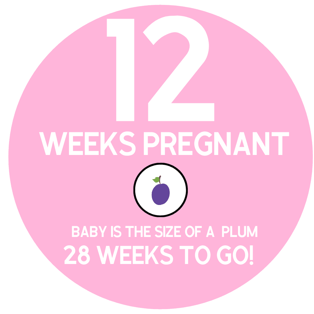 pregnancy symptoms as 12 weeks