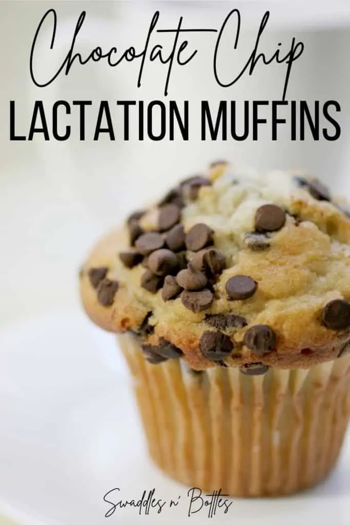 chocolate chip lactation muffins